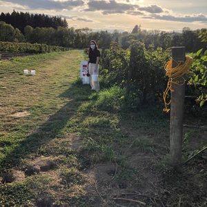 Meet your Posher, Ruby